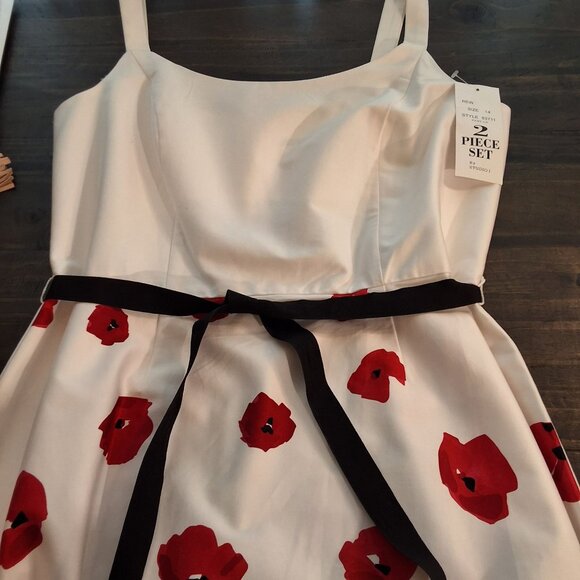 Studio I White Fit & Flare Sleeveless Dress With Red & Black Floral Print Ribbon - Picture 3 of 7